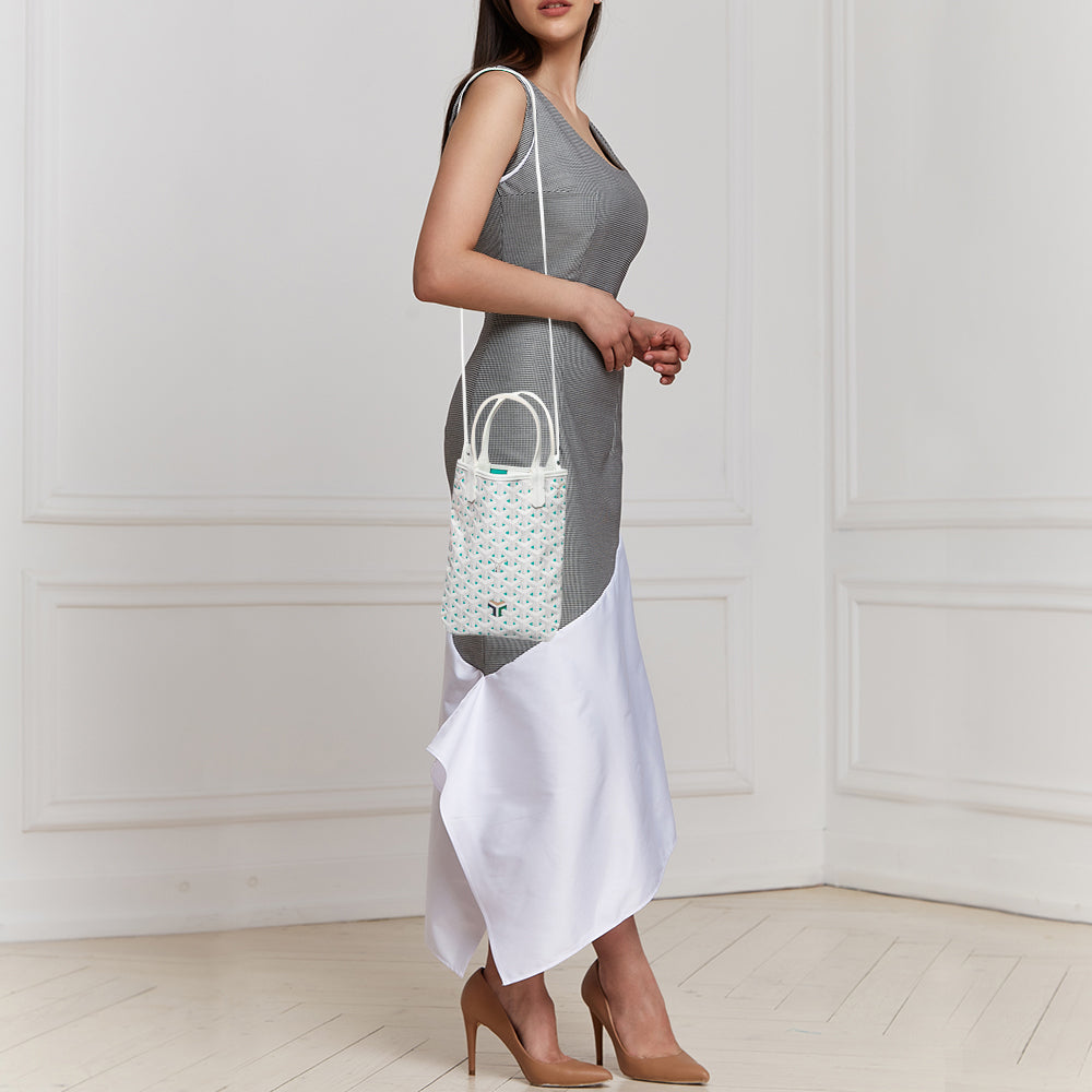 Goyard Bicolor Ltd. Edition Poitiers Claire-Voie Bag – The Closet