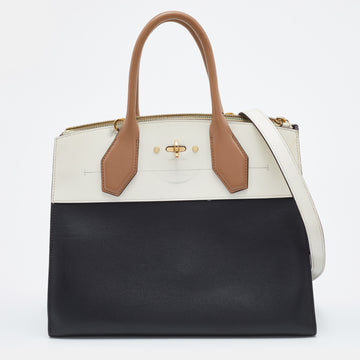 Louis Vuitton Tri-Color Leather City Steamer MM Bag